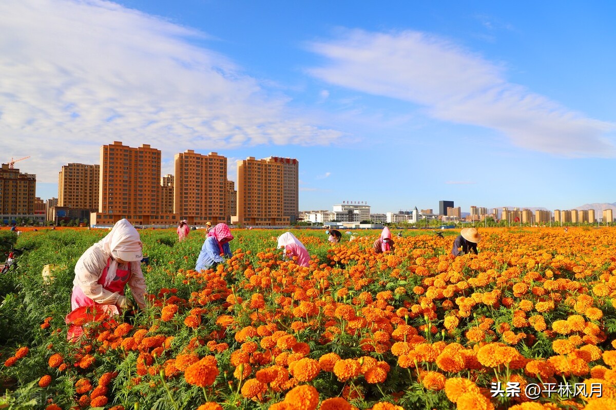 保护眼睛科学用眼小妙招,保护眼睛的十大方法及小妙招