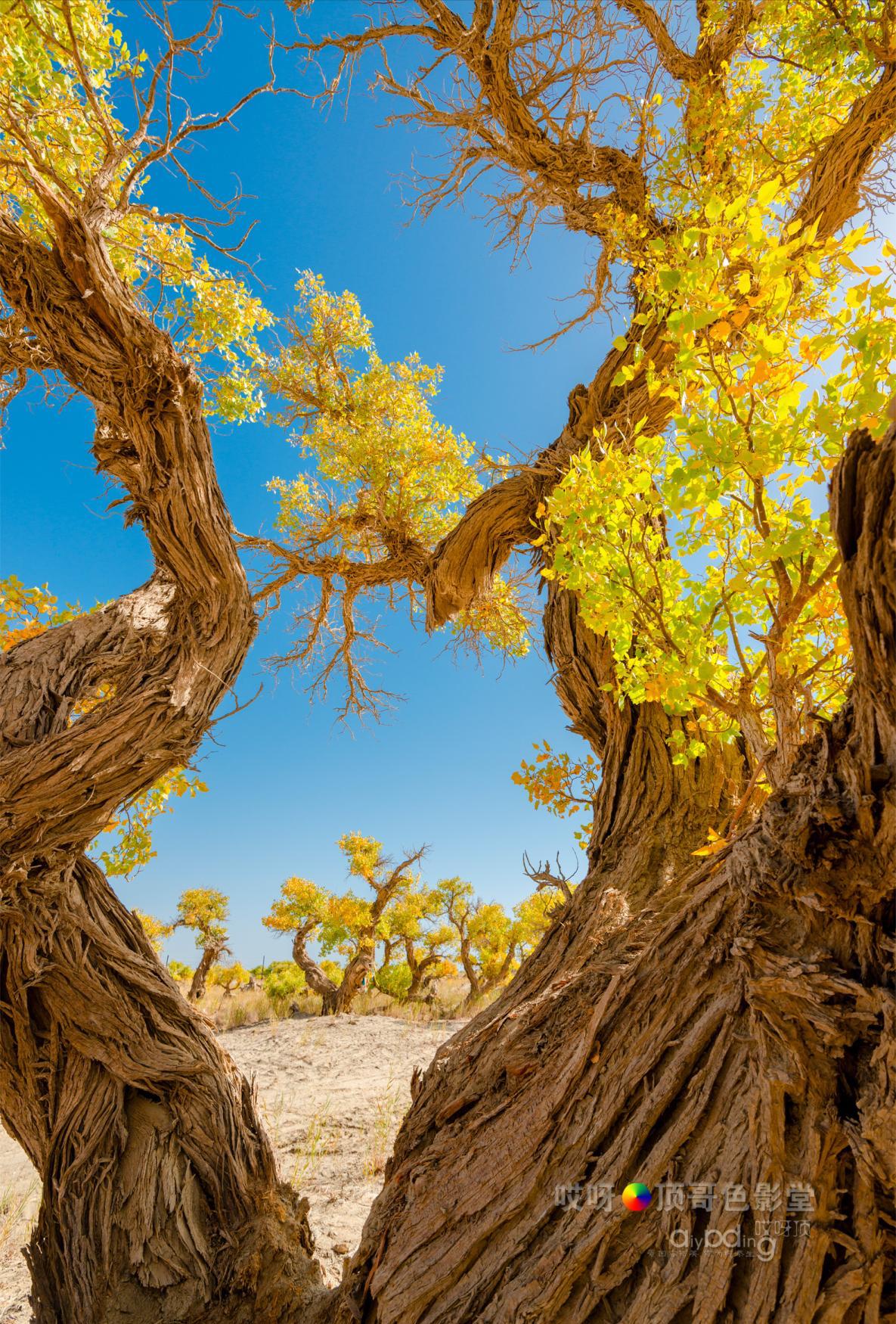 女司机带娃去新疆自驾游,带着女司机自驾游兰州