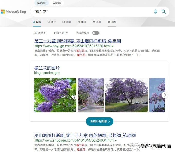 搜索引擎中的快速查找技巧,几种搜索引擎的使用和技巧