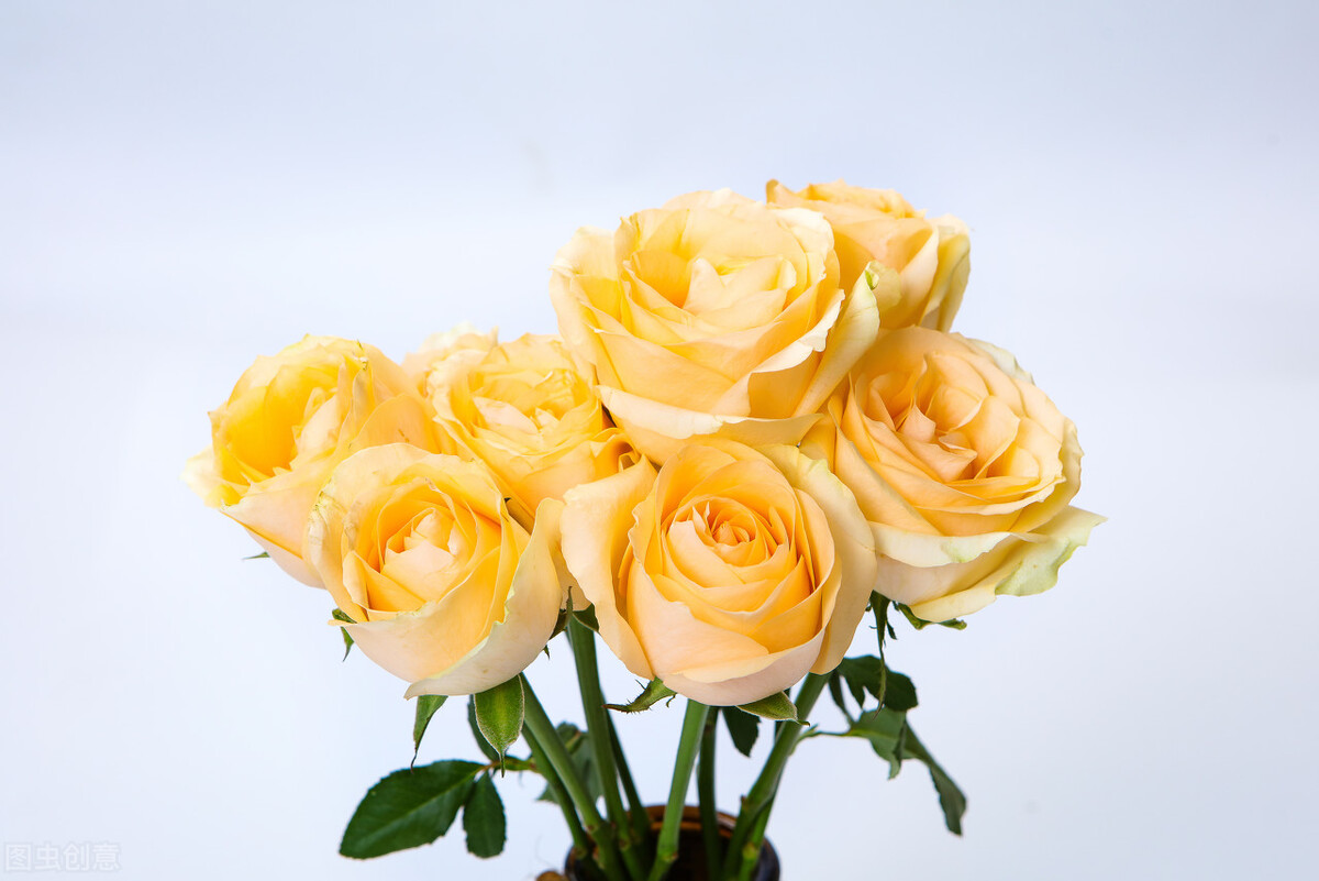 闺女上学谈恋爱怎么办,养女在家里没地位27岁不敢谈恋爱