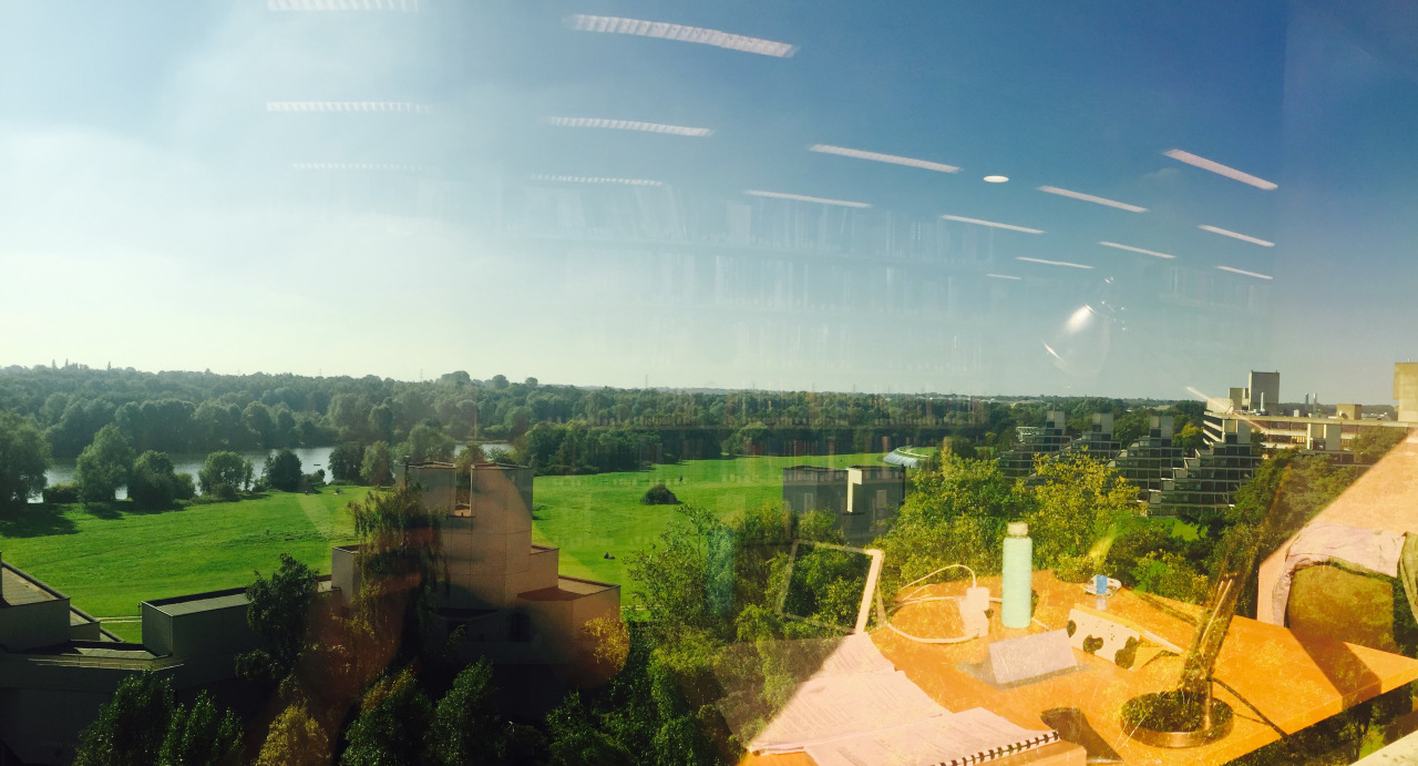 东英吉利大学属于什么档次,东英吉利大学专业