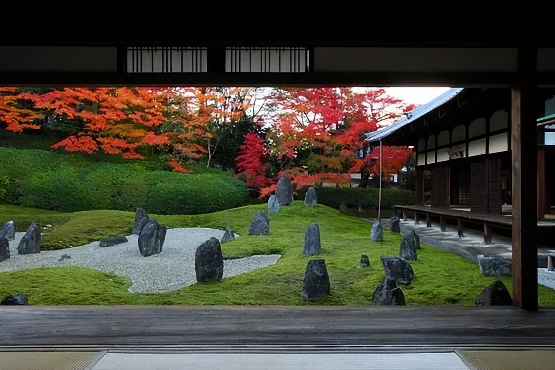 日本枯山水景观,日本枯山水中的树是什么树