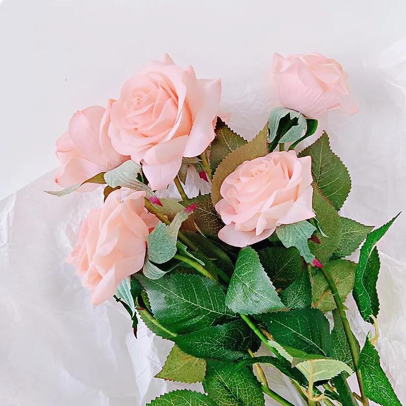 白玫瑰和红玫瑰的区别,红玫瑰与白玫瑰黄玫瑰