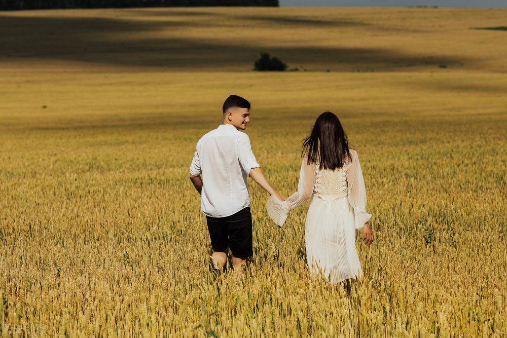 鸠占鹊巢上一句,鸠占鹊巢小视频