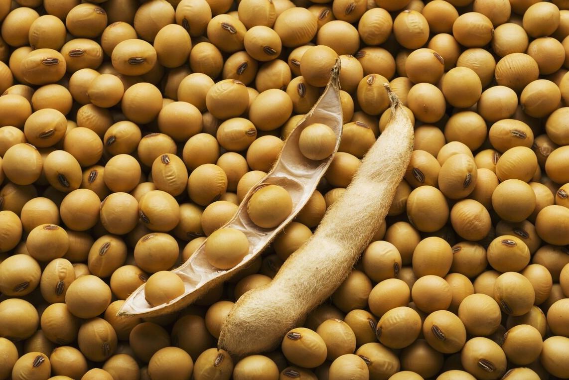 中国女足获得2300万奖金,祝贺中国女足重夺亚洲冠军