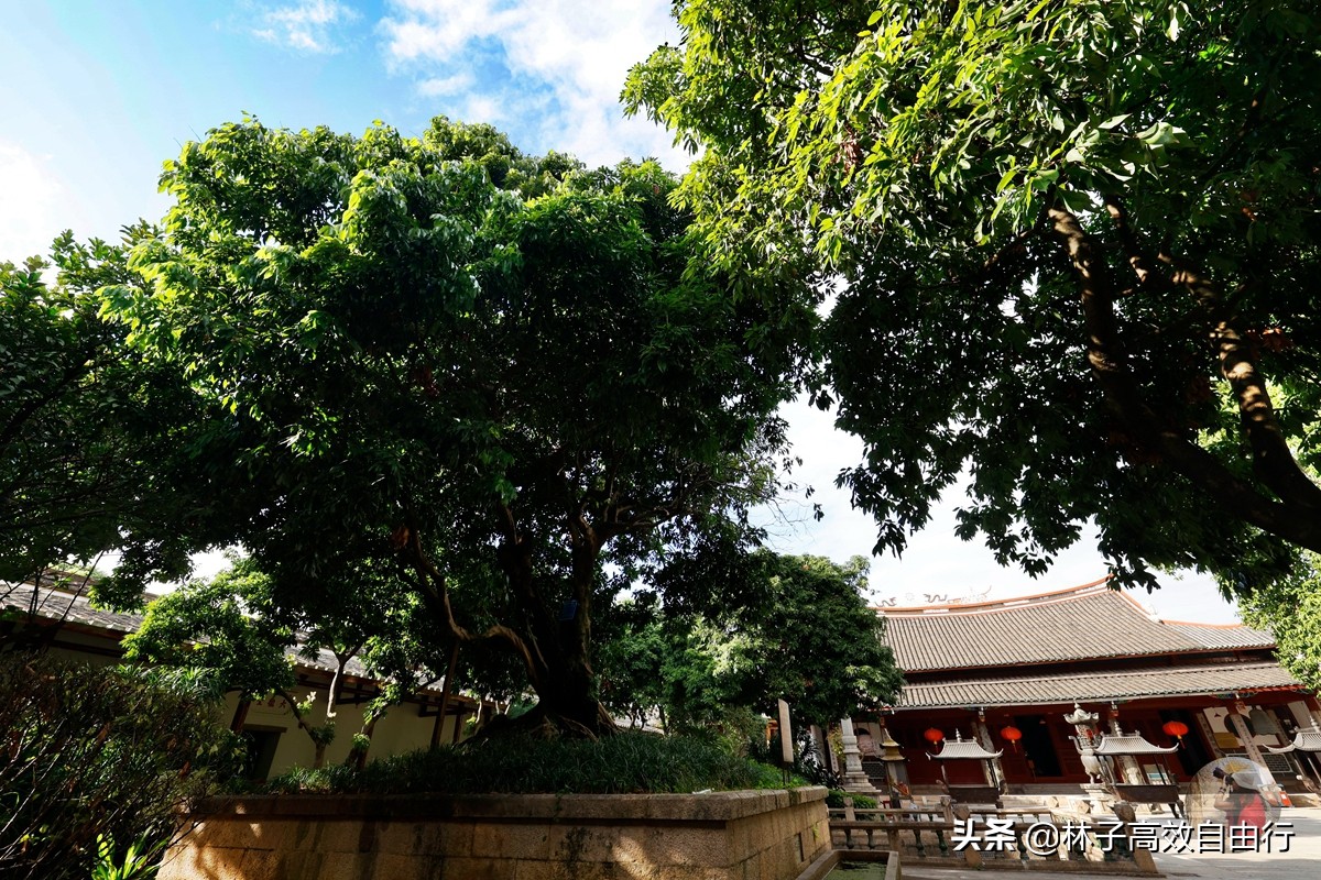 福州有哪些特色玩的,福州市区游玩攻略