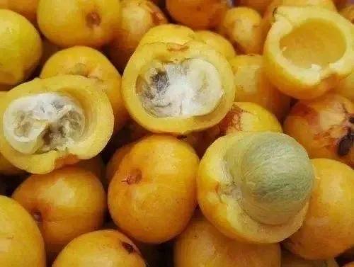 儿时野山竹,小时候的野山竹