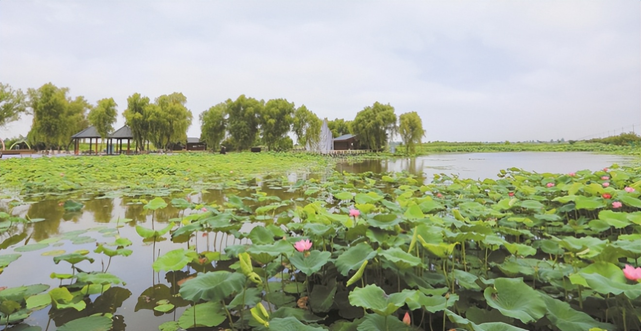 推动强富美高新江苏建设再出发,凝心聚力谱写强省建设新篇章