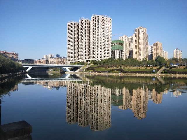 致富创业种火龙果,回乡创业种植火龙果前景怎么样