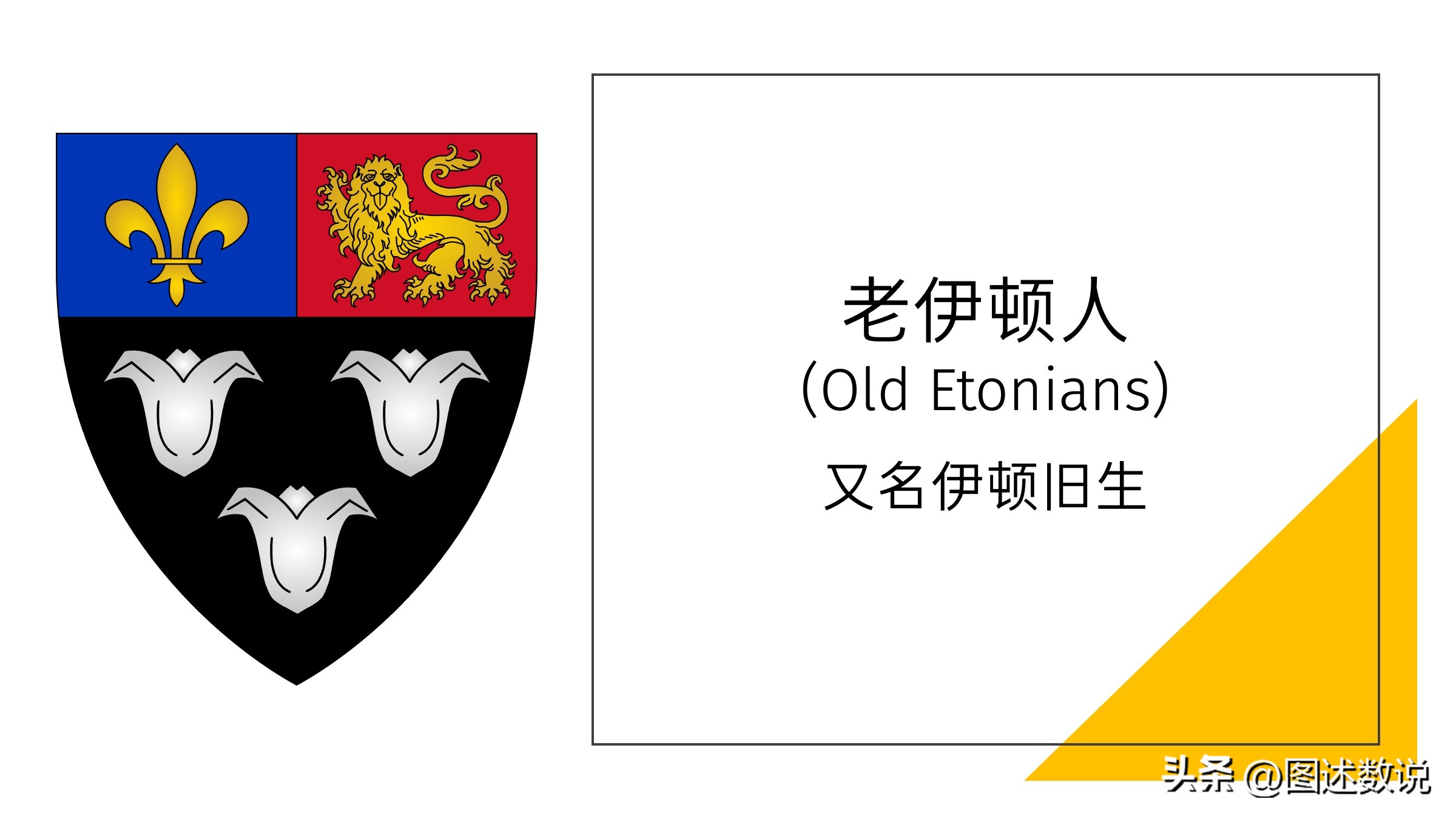 足总杯第一个冠军,足总杯各届比分