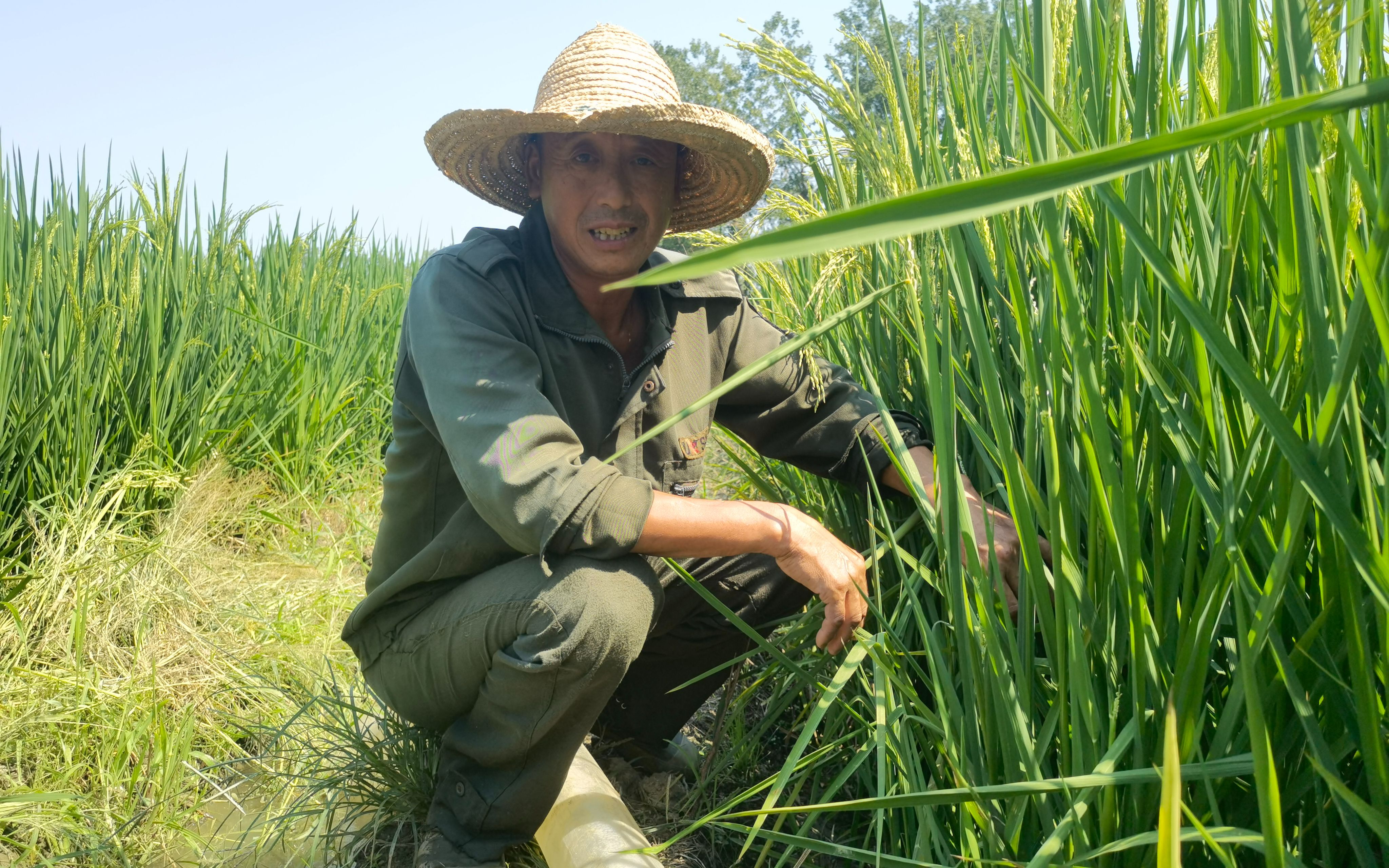 抗旱排涝设备,抗洪排涝的农业机械