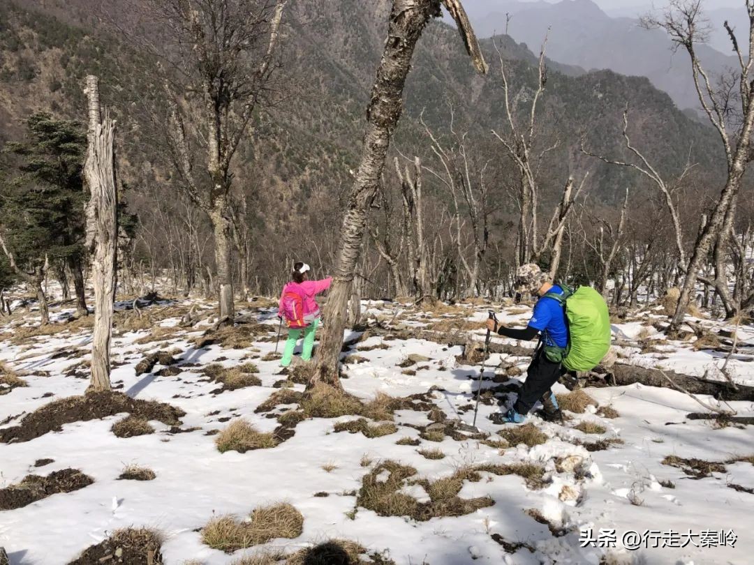 首阳山穿越大坪梁景色怎么样,大坪梁穿越到首阳山攻略