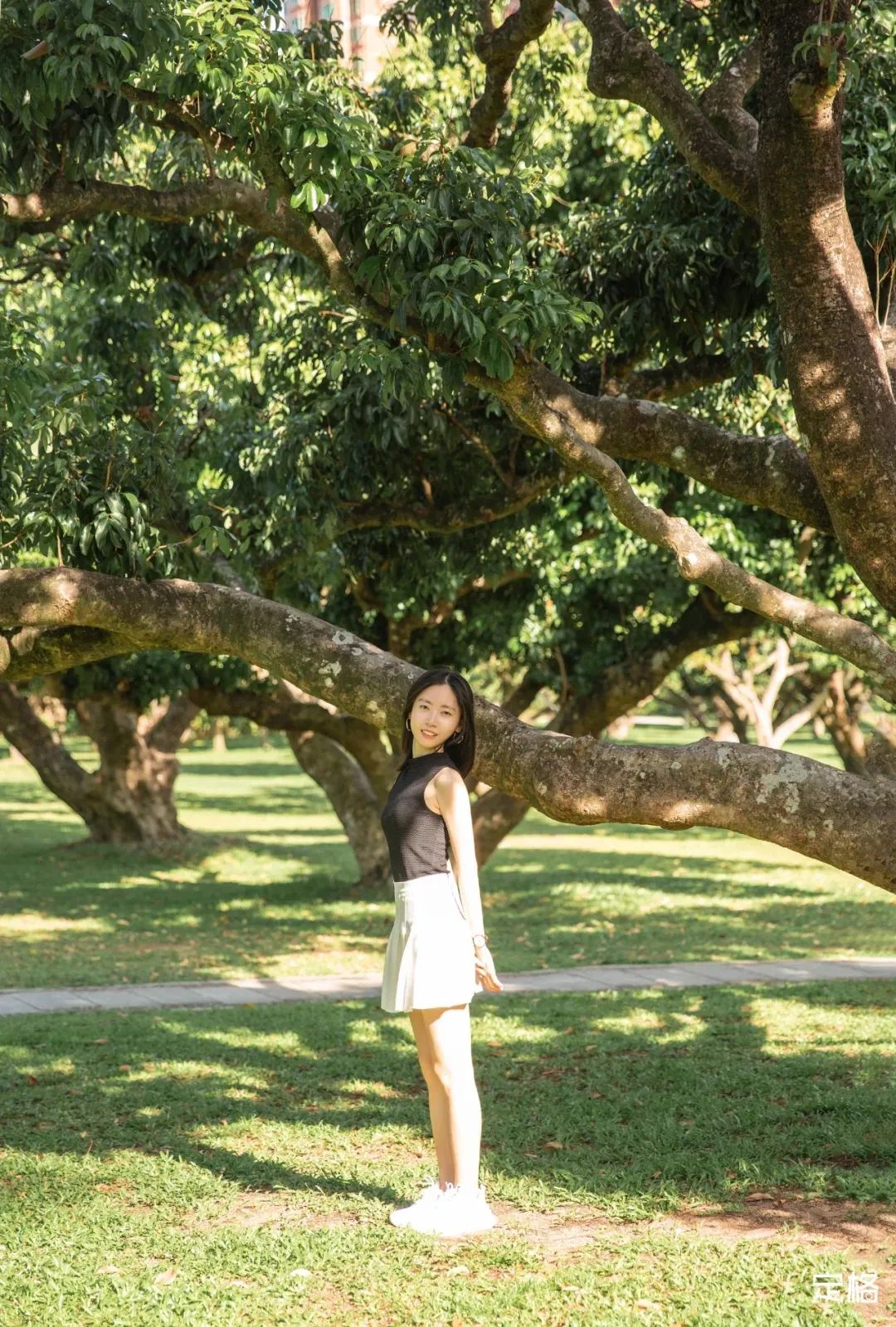 深圳免费露营的公园推荐,深圳22个露营公园