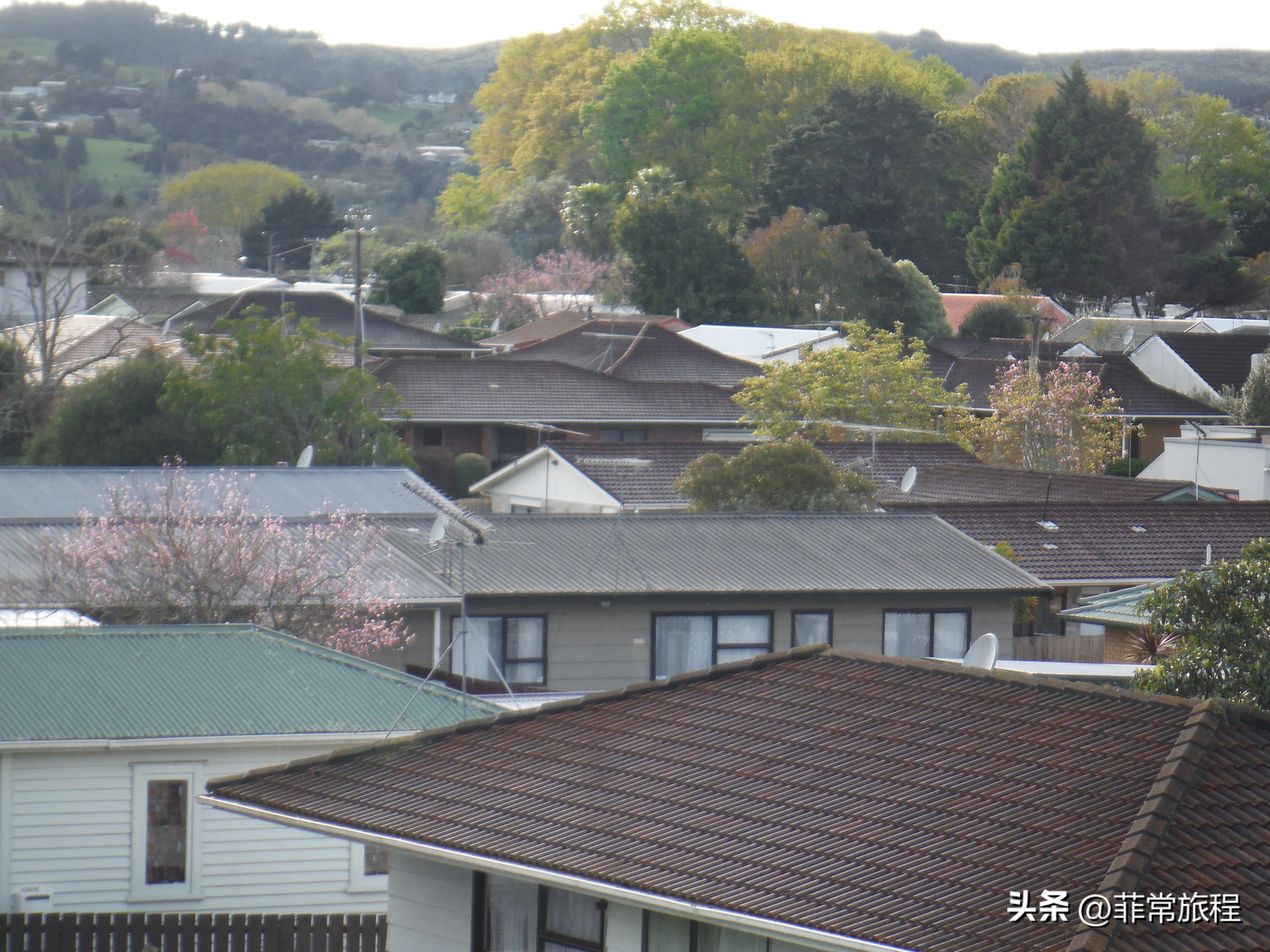新西兰留学移民的经历2/3：房东弗雷迪北岛小城市吉斯伯恩