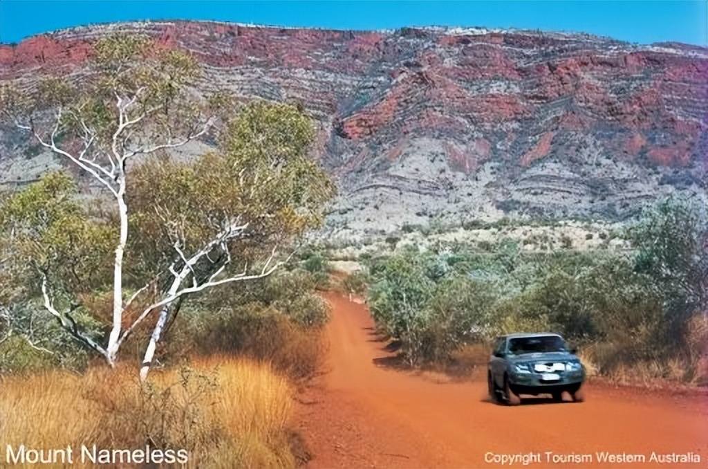 澳大利亚什么最赚钱,澳大利亚哪个城市最好赚钱