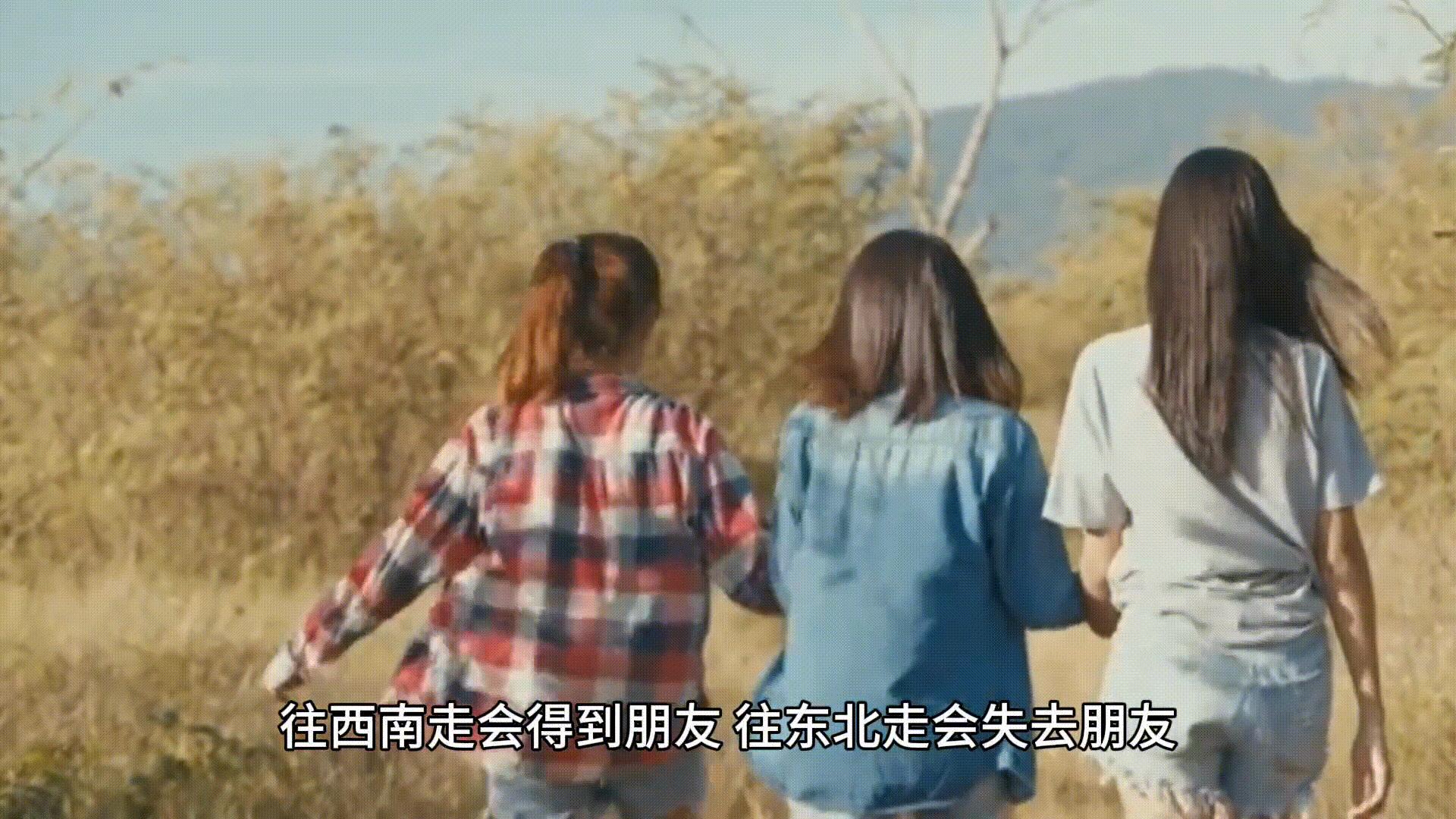 易经的智慧1-160全集讲解视频,易经的智慧150讲全部视频