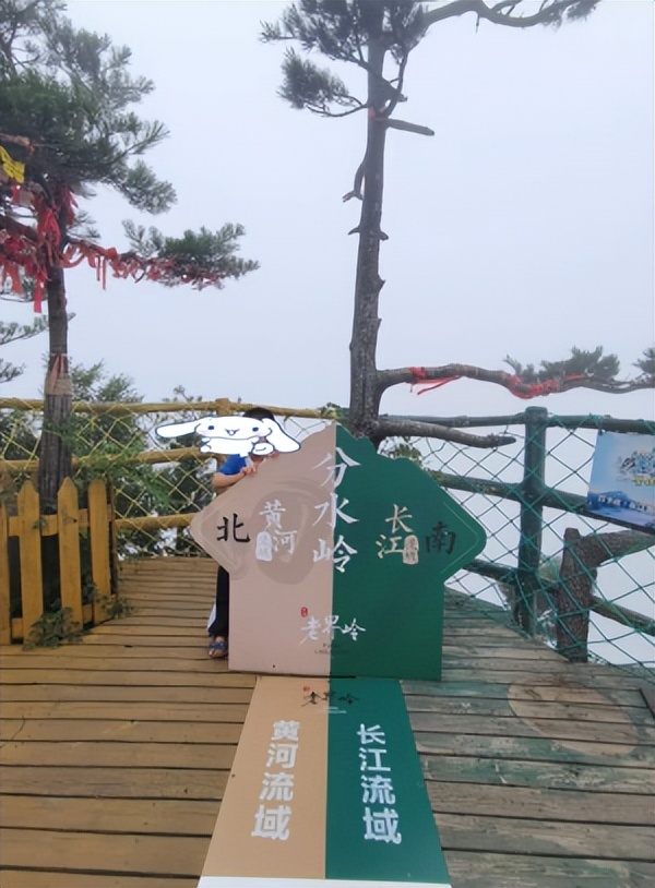 老界岭避暑92号山庄吃住全包,老界岭避暑胜地比较有名