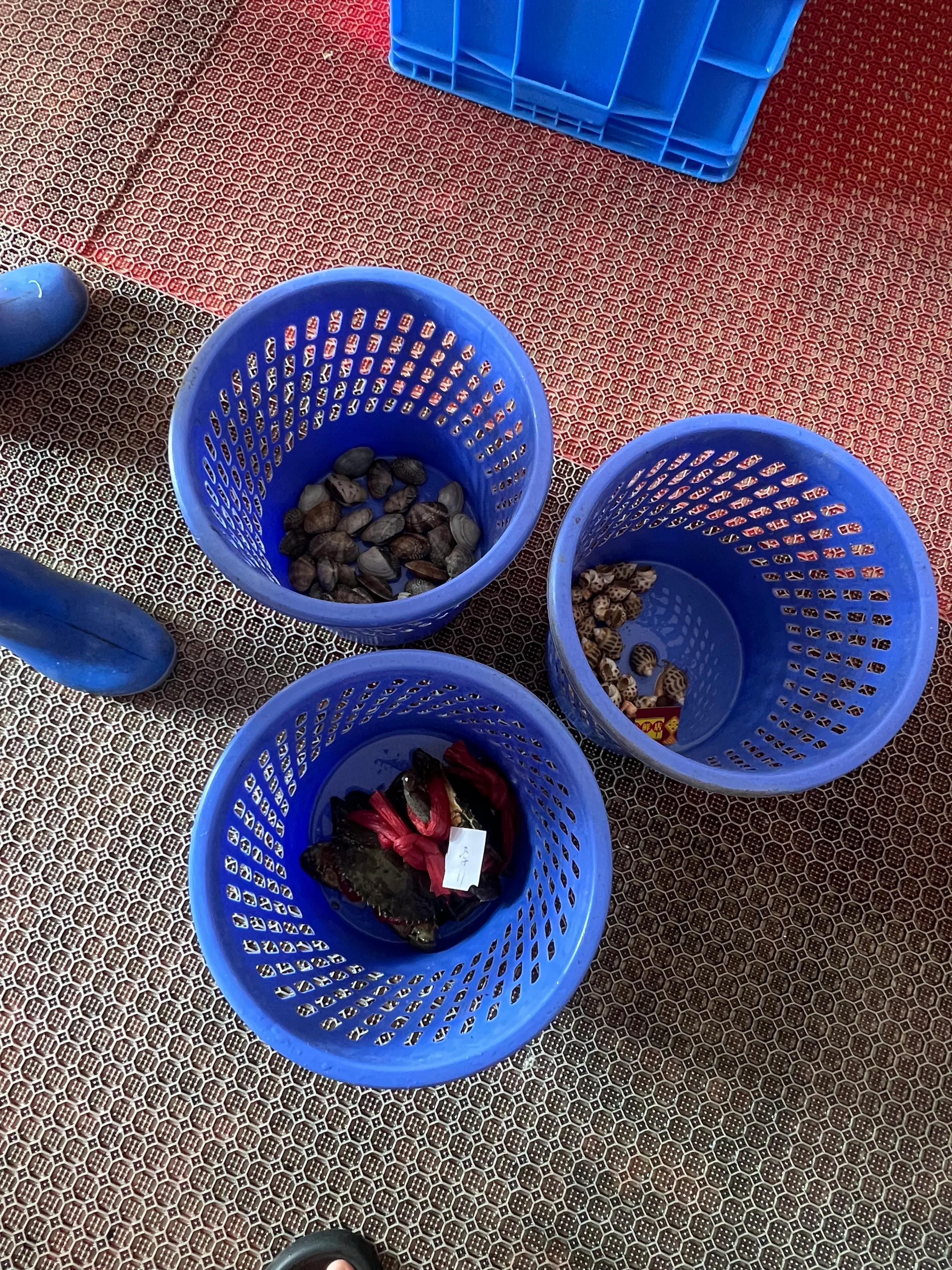 三亚春节自由行攻略,春节三亚旅游攻略自由行攻略