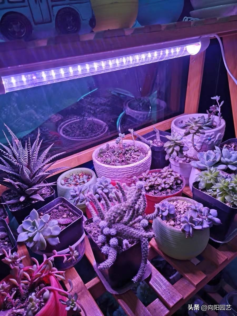 100元左右补光灯怎么选,便宜的补光灯有没有用