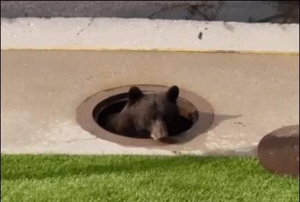 日军兽行：当着男人的面玷污了女儿，临走还残忍割下妻子乳房