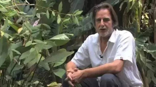 爱，在雨林绽放璀璨星光