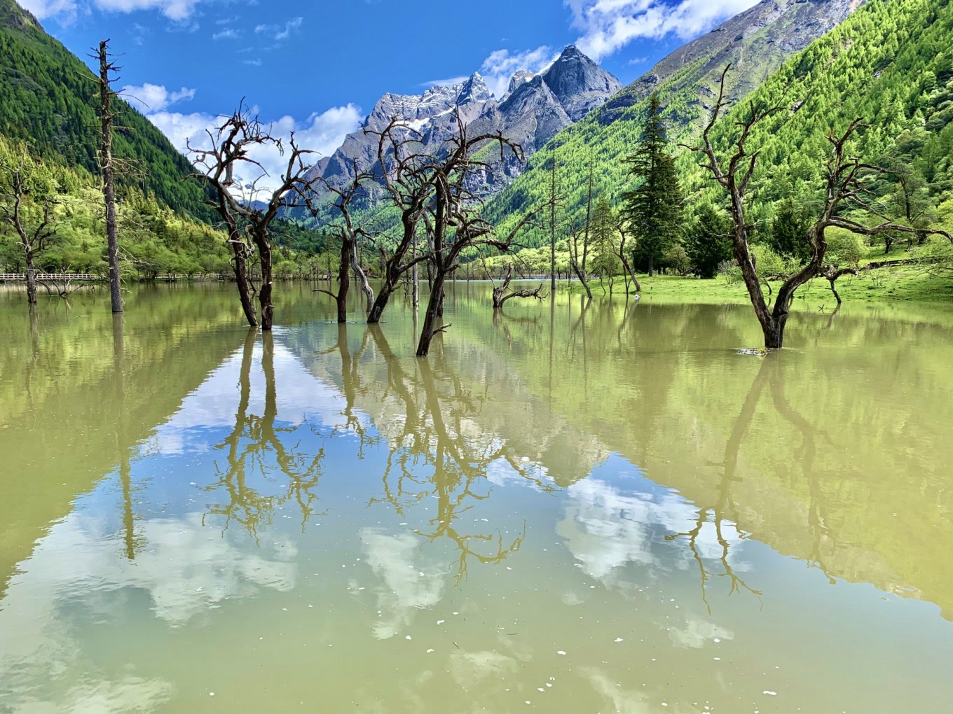 四姑娘山景区旅游攻略长坪沟,四姑娘山海子沟和长坪沟哪个好玩