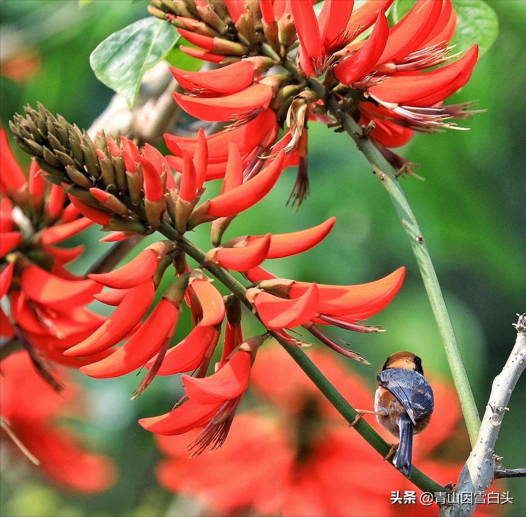 桉树45亩亩产7吨可以卖多少钱,荒地种植100亩利润