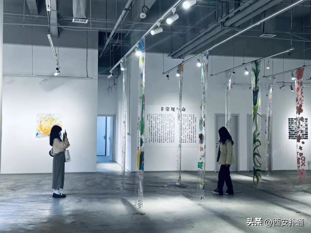 西安5月看展指南,西安五一看展指南