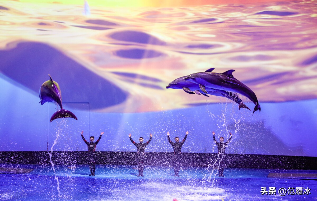 五一青岛旅游避坑指南，请分享给你的亲朋好友