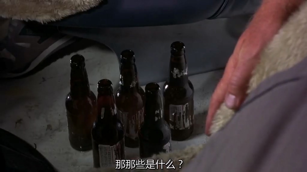 让人啼笑皆非的一部公路喜剧《阿呆与阿瓜》