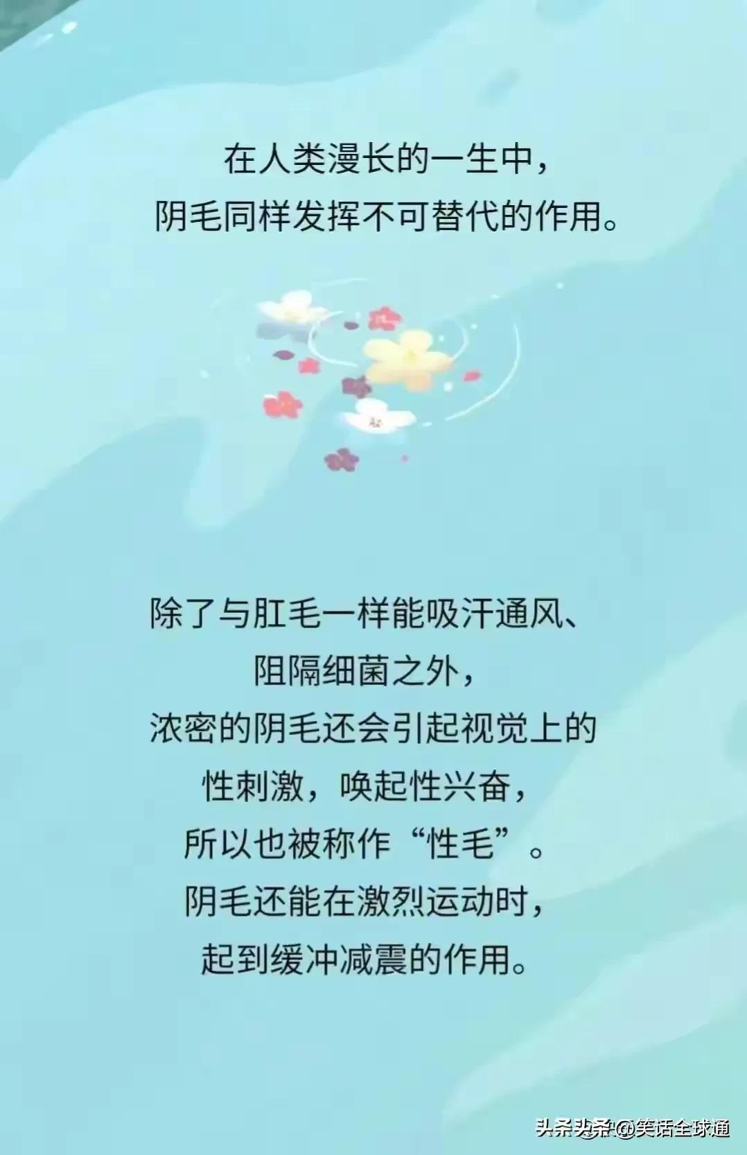 菊花毛、*处私**的毛能随便剃吗？有危害吗？