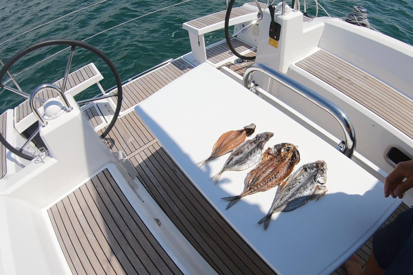 中国小伙的航海日记26,中国小伙子航海日记45