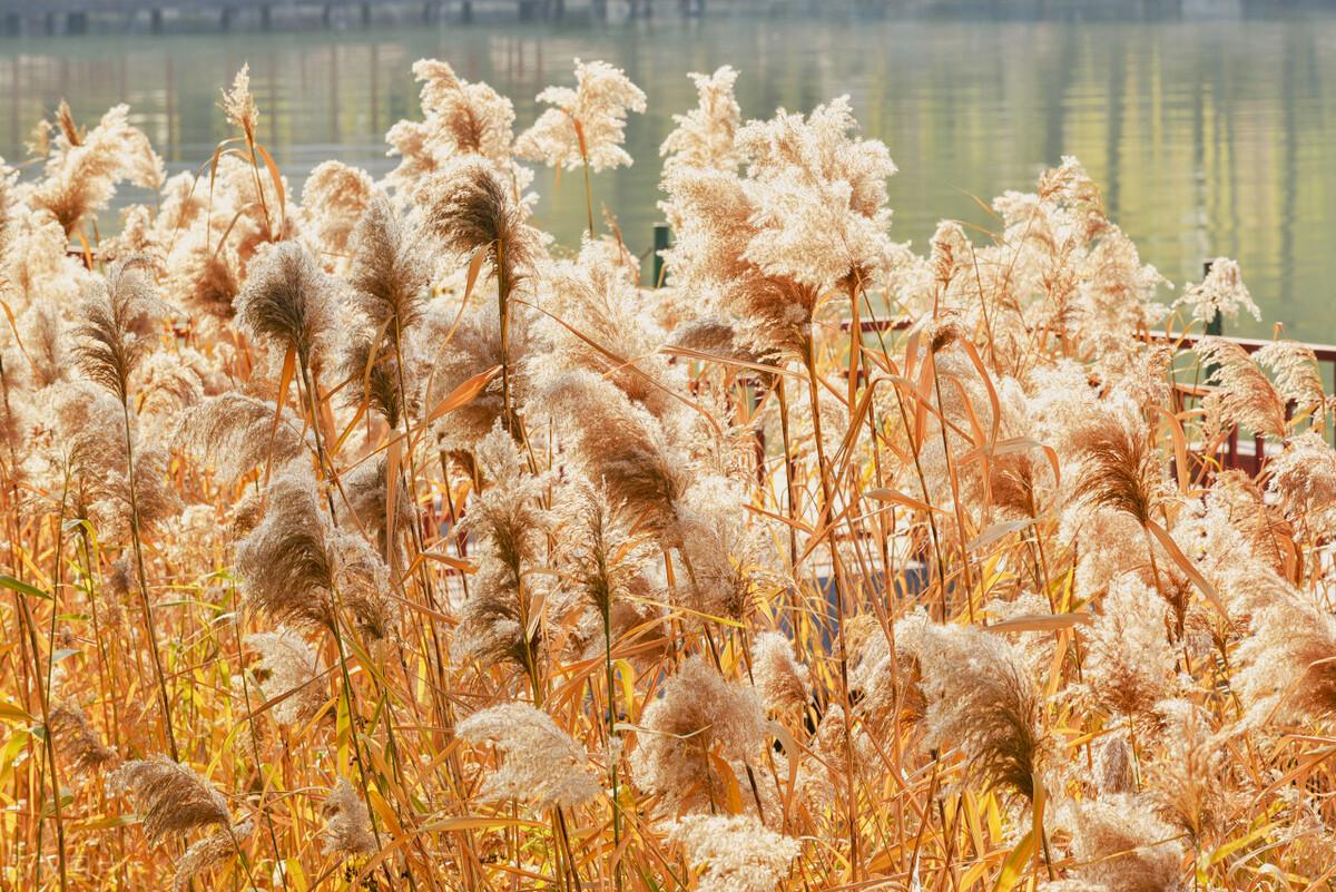 摄影构图中的对比与差异展示,如何看懂摄影构图中的均衡