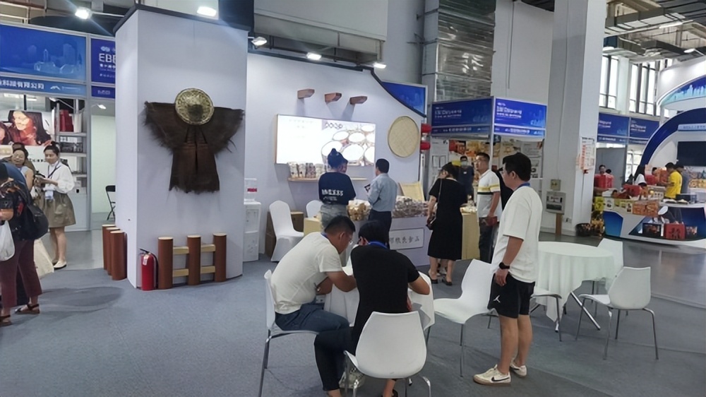 服务体系全覆盖“带货红娘”桐庐县助企业电商驶入转型“快车道”