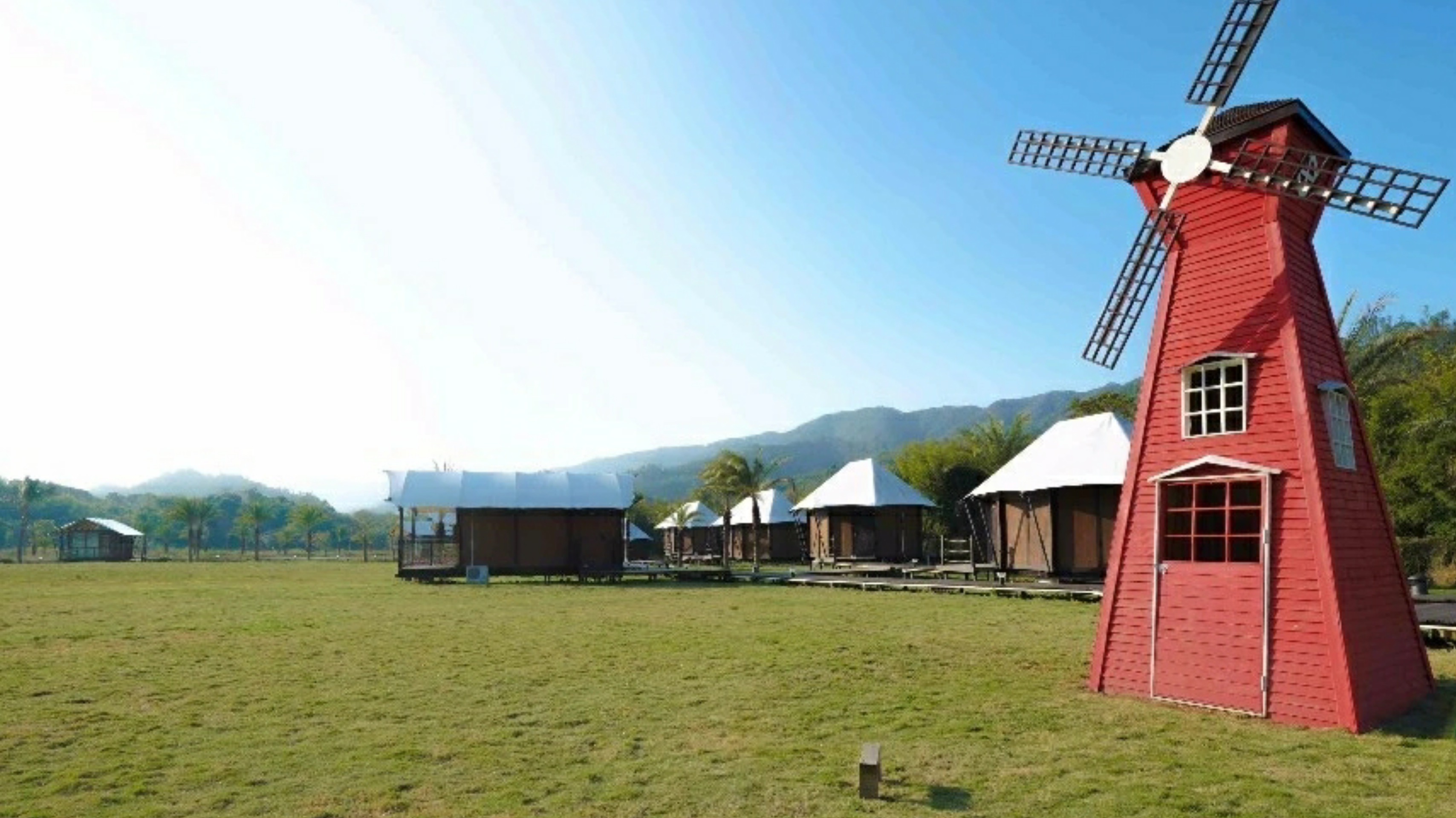 惠州赏梅花地方,惠州惠东梁化镇梅园