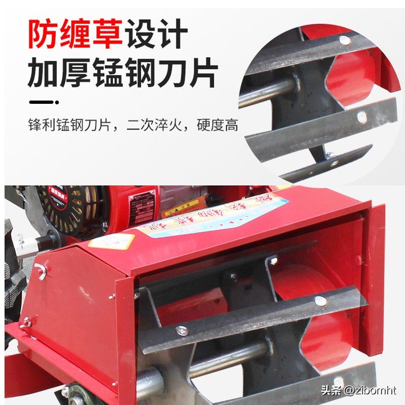 现在投资种植猕猴桃前景好吗,博山猕猴桃种植技术