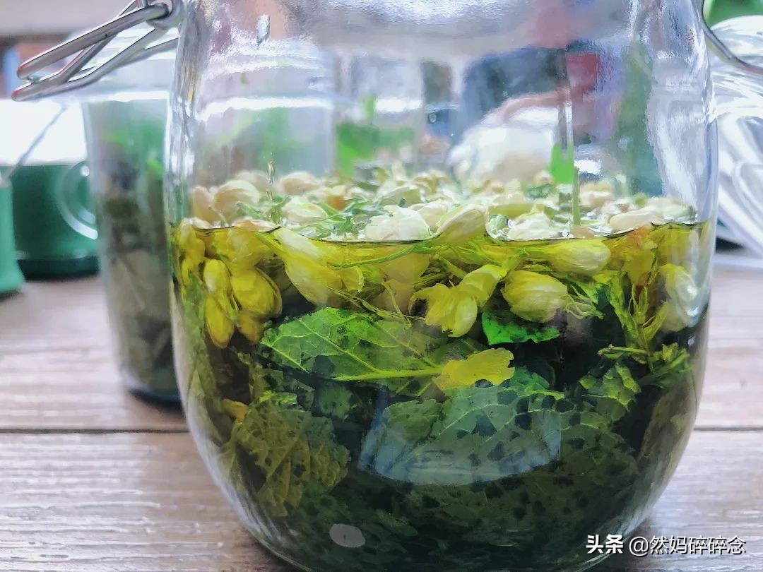 薄荷清凉膏制作方法,自制艾草薄荷驱蚊膏