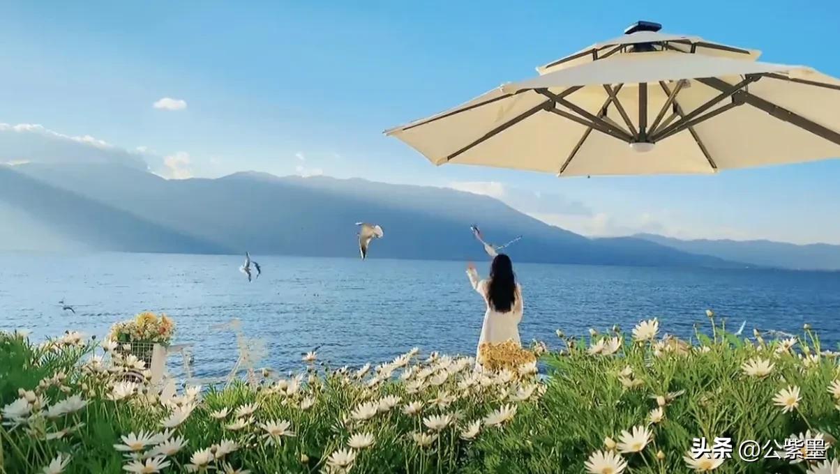 大理的冬天,大理的冬天依然美丽