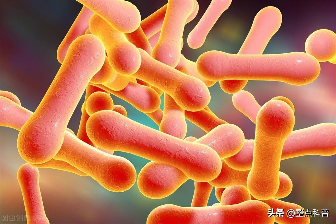 普洱茶熟茶里的霉菌,变质的普洱茶熟茶喝了会如何