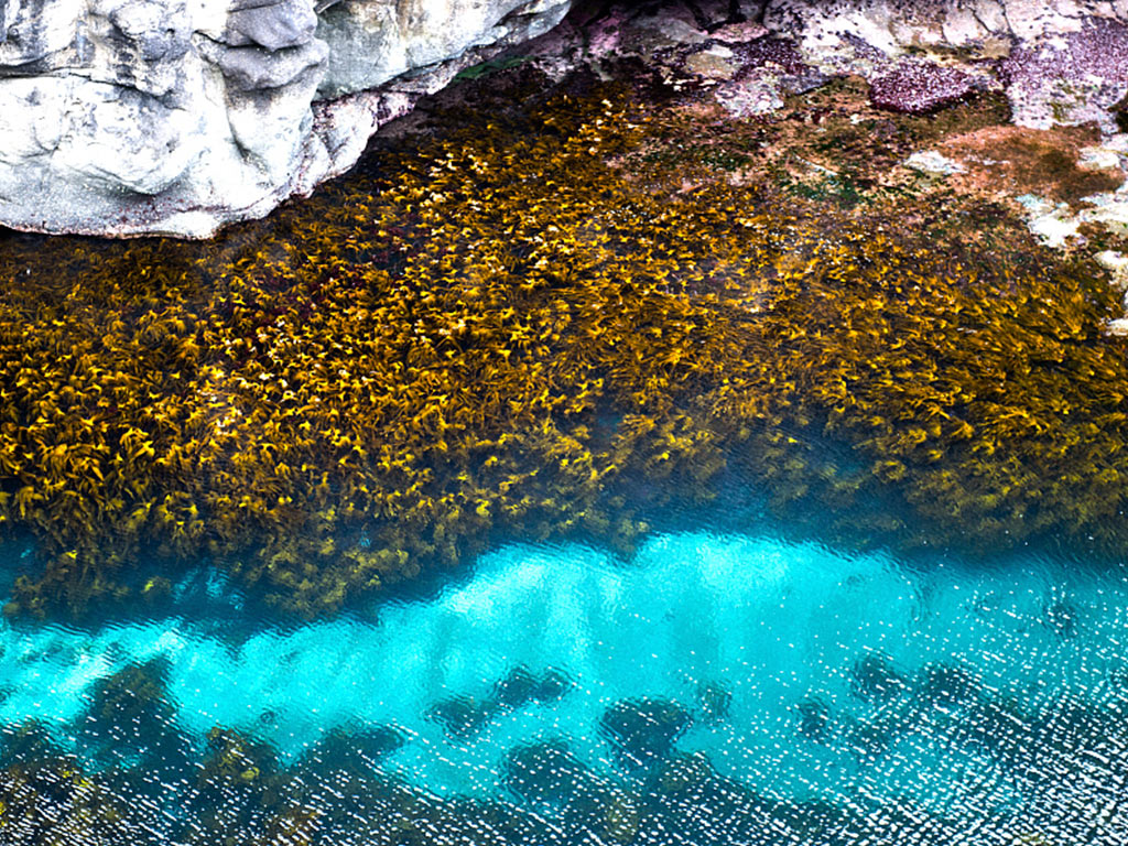 bl透气防滑耐磨休闲鞋,新款海藻鞋