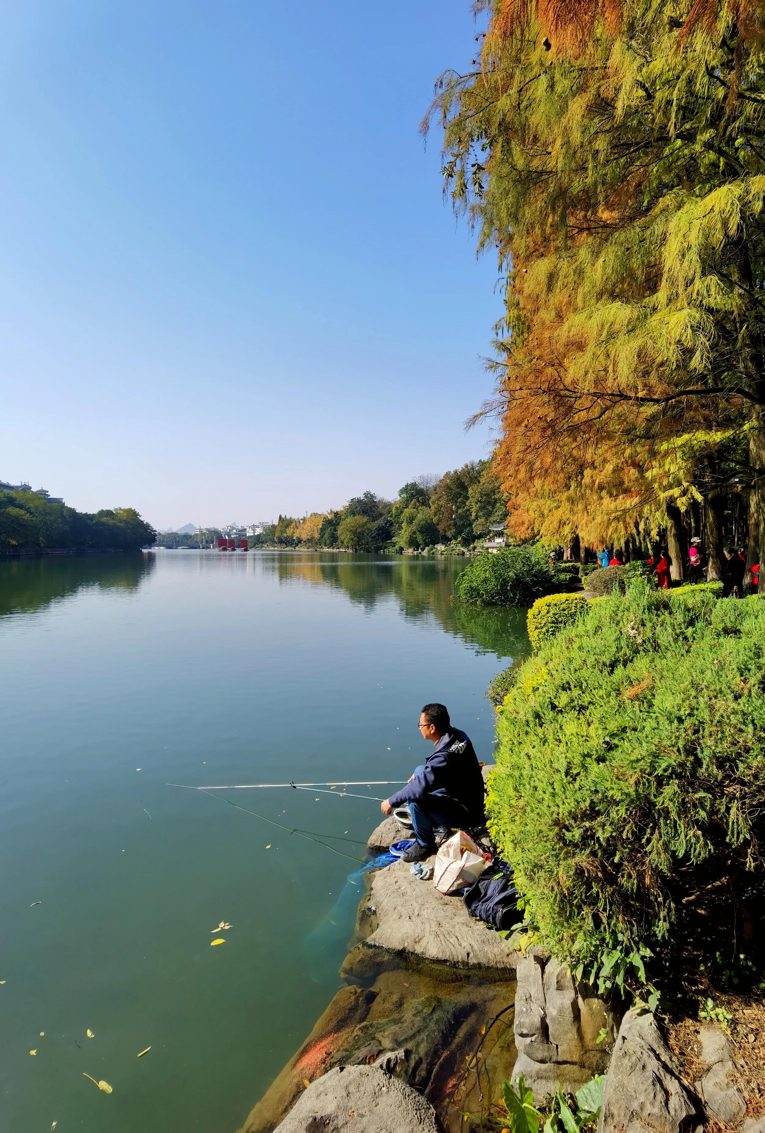 桂林的桂湖在哪里,桂林两江四湖之桂湖
