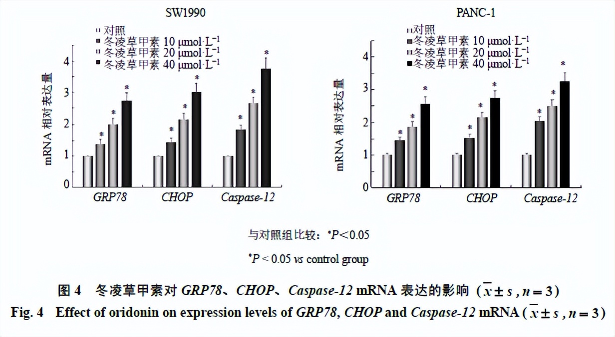 最新发现！冬凌草甲素为胰腺癌的预防提供了新的治疗方法