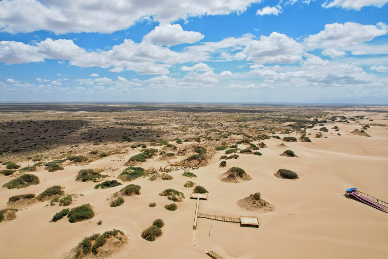实拍格尔木胡杨林，海拔2800米，连绵1700亩，苍凉辽阔，拍照超酷