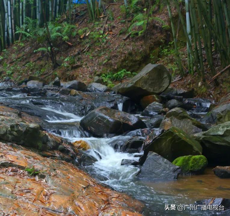 广州夏日避暑指南,广州夏日避暑胜地室内