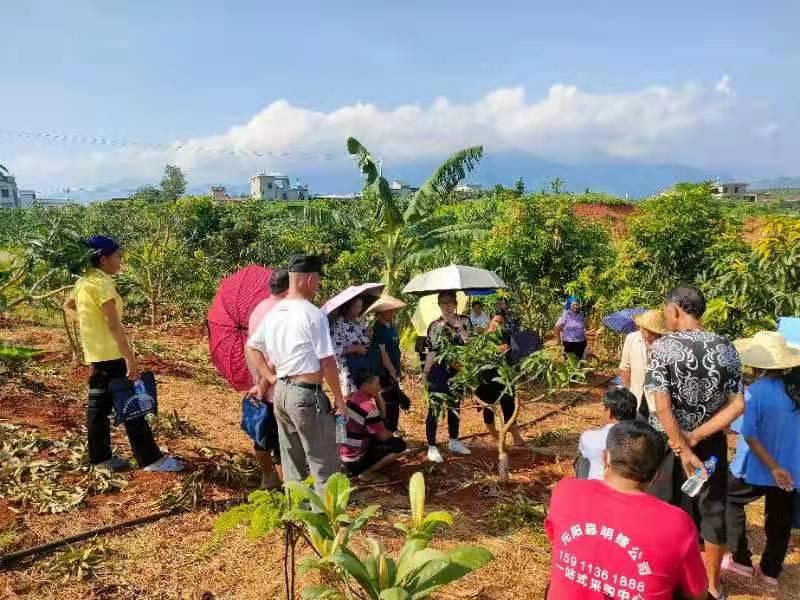 产业金钥匙打开致富门,金钥匙开启财富之门