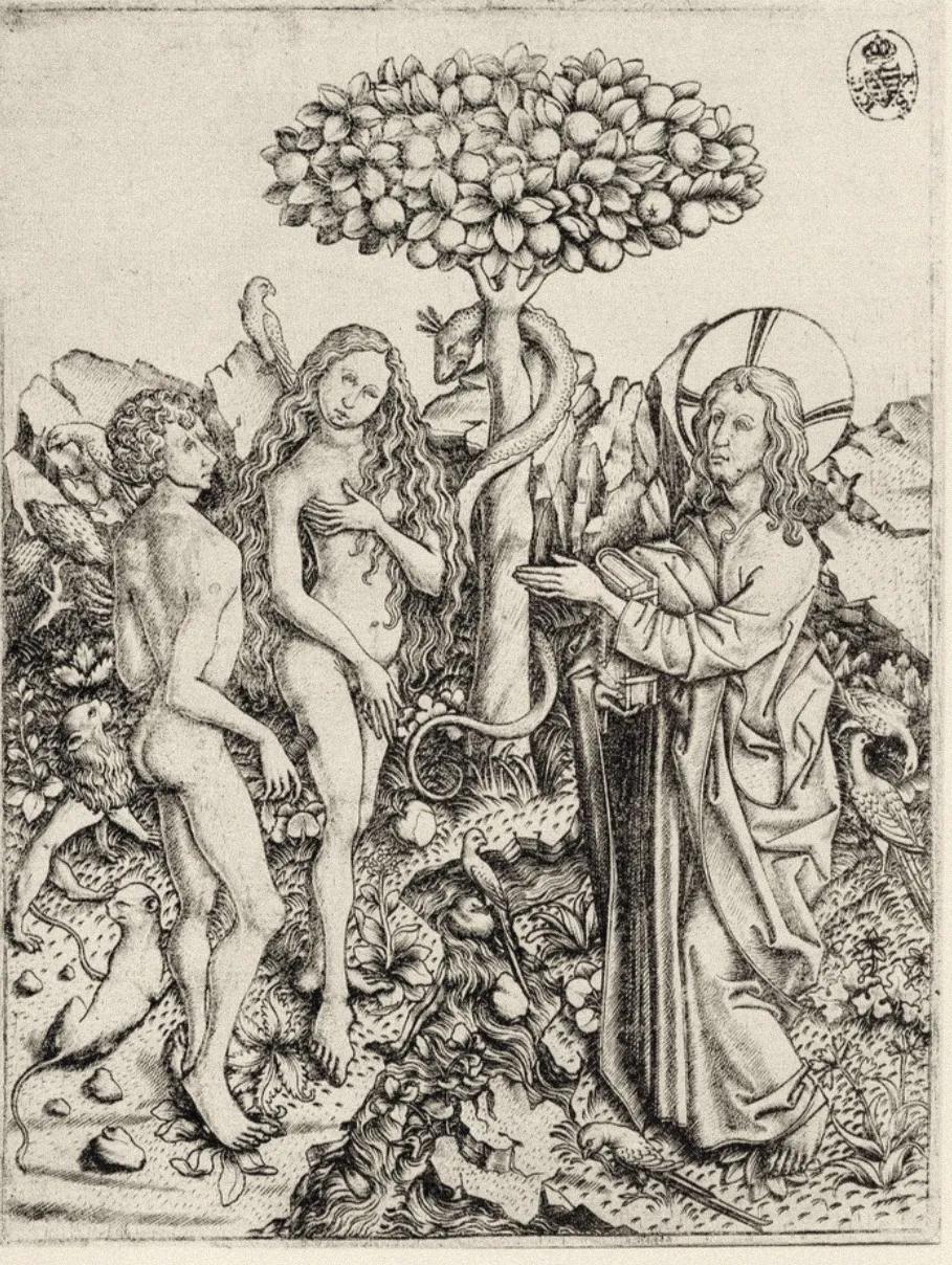 进化论是什么时候出版的,进化论被推翻的理由