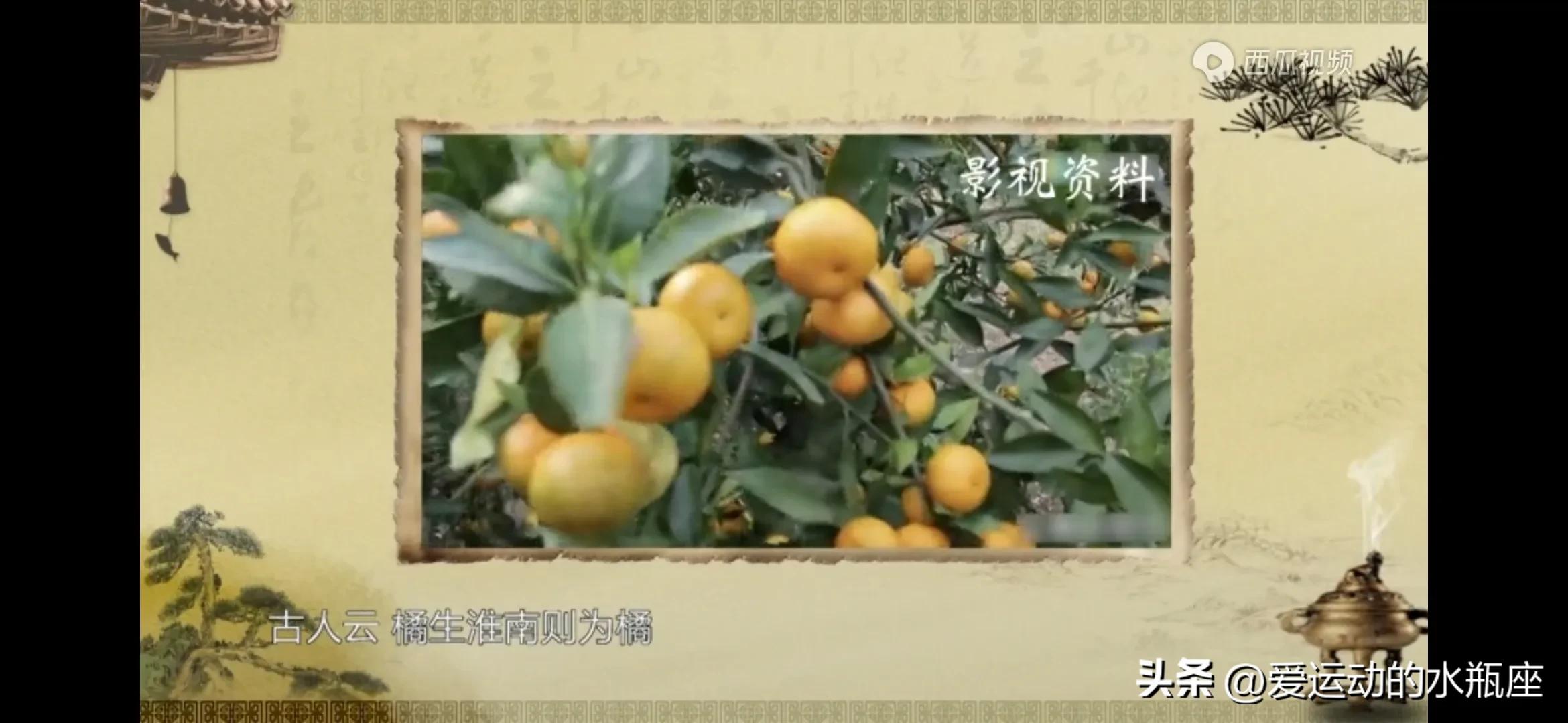 伏羲创卦,是将观察所得的自然现象符号化并进行推广