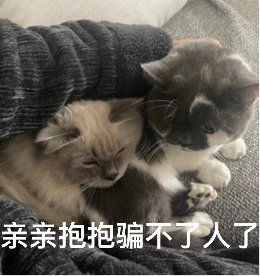 女人什么时候生小孩合适呢,女人在什么时候生孩子最好