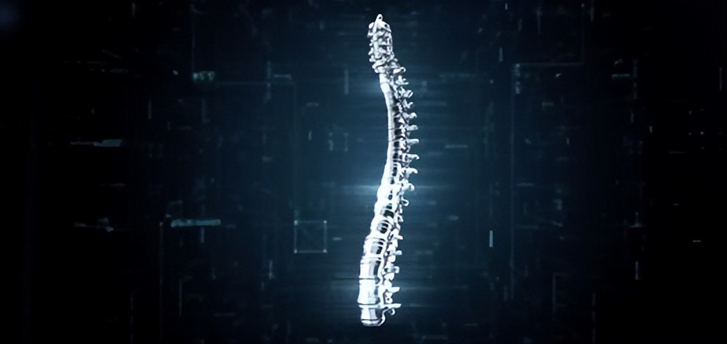 人体工学座椅品牌排行知乎,人体工学椅全球排名