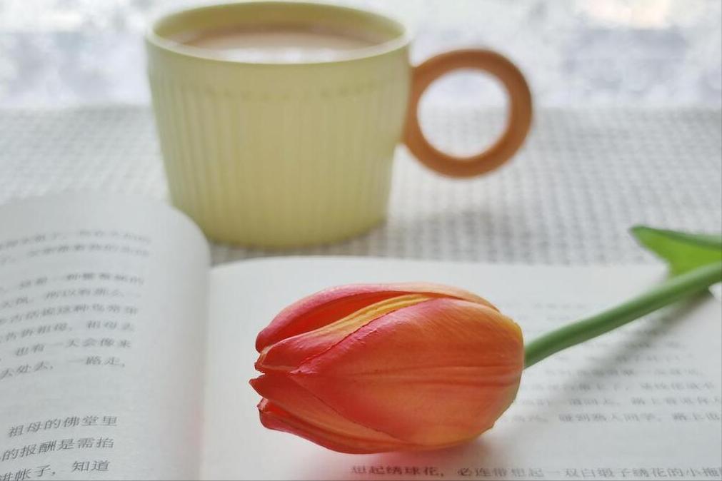 这4款小工具很实用建议收藏,好用工具软件推荐